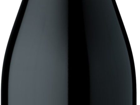 PINOT NOIR RESERVA 2020 Online