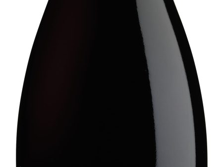 PINOT NOIR BREAKER 2019 For Sale