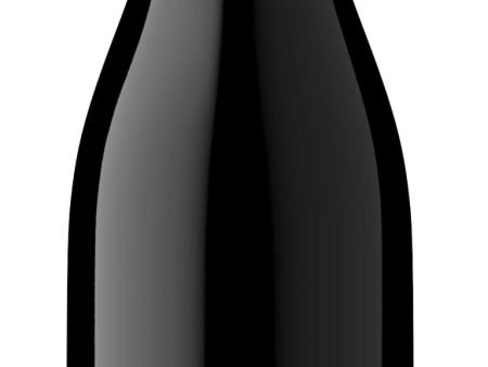 Pinot Noir  Rosemary s Vyd , Talley Vineyards 2019 For Sale