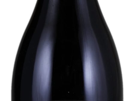 Pinot Noir  Carter Vyd , Ken Wright 2019 For Cheap