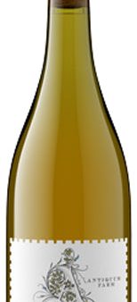 Antiquum Farm Pinot Gris Daisy 2021 Discount