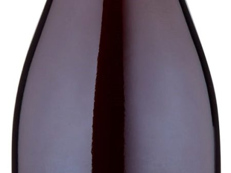 San Michele PINOT NERO 2020 Hot on Sale