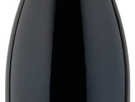 Westrey Wine Company Pinot Noir Oracle 2013 Online Hot Sale