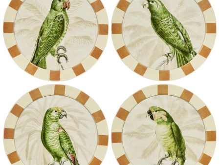 Parrots Round Wall Art Set Of 4 by Florabelle Online Sale