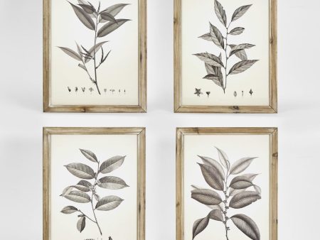 Chelsea Botanical Wall Décor Set 4 by Florabelle Discount