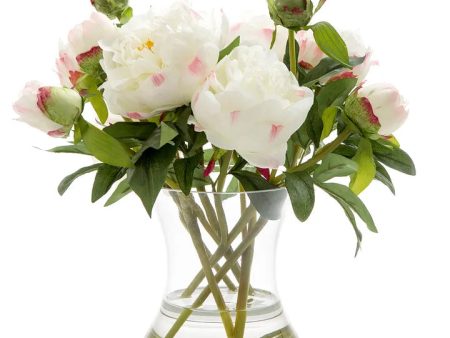 Peony in Water in Glass Vase White by Florabelle Online now