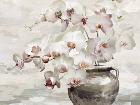 Orchid Bloom Wall Art by Florabelle For Discount