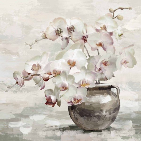 Orchid Bloom Wall Art by Florabelle For Discount