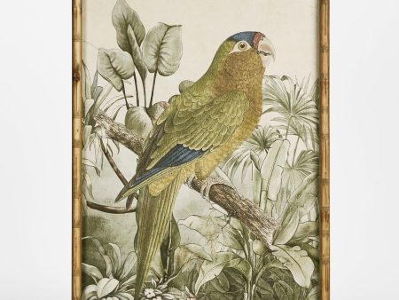 Jungle Parrot Wall Art A by Florabelle For Cheap