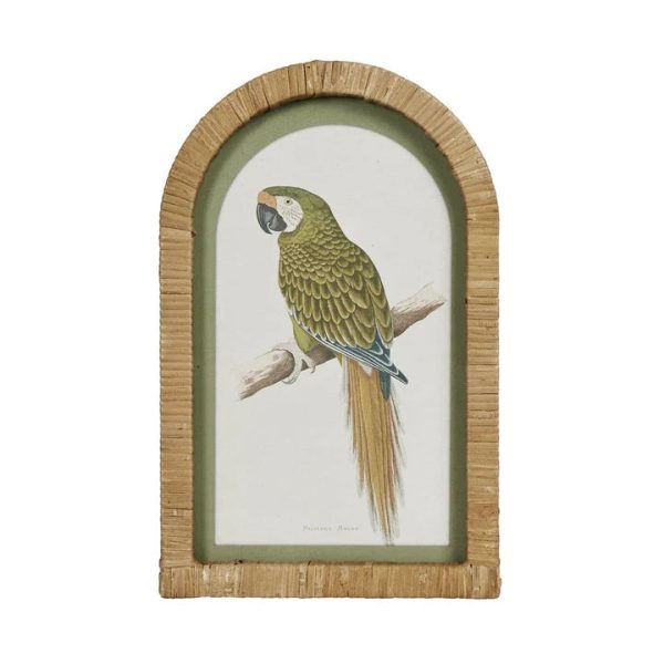 Parrots In Arches Wall Art Set Of 4 by Florabelle Online Sale