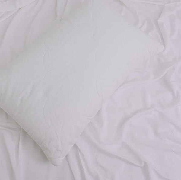 Ecorenew Tencel® Pillow Protector by Bambi Online now