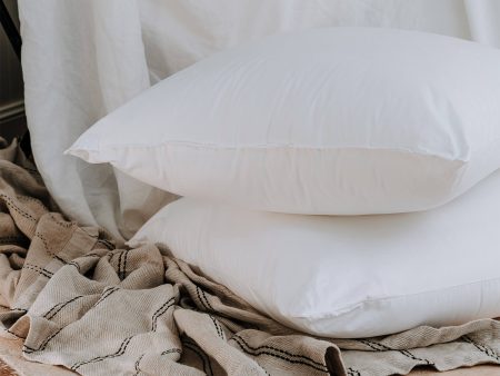 Sensitiva Polyester European Pillow by Bambi For Cheap