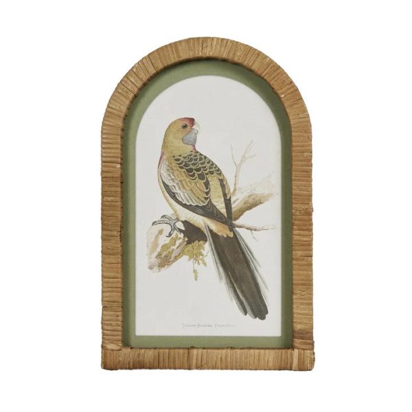 Parrots In Arches Wall Art Set Of 4 by Florabelle Online Sale