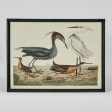 Graceful Cranes Wall Art E by Florabelle Hot on Sale