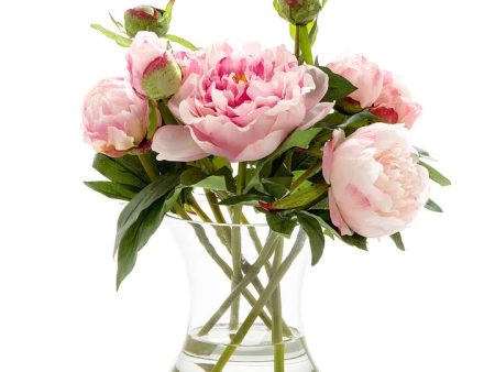 Peony in Water in Glass Vase Dark Pink by Florabelle For Sale