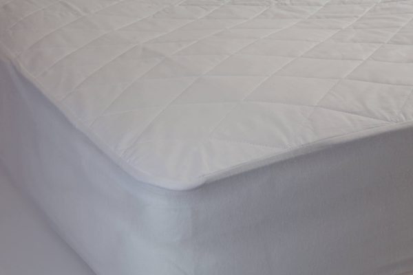 Basics Cotton Mattress Protector by Bambi For Discount