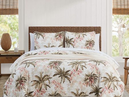 Bonny Cove Coconut Coverlet by Tommy Bahama Online