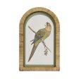 Parrots In Arches Wall Art Set Of 4 by Florabelle Online Sale