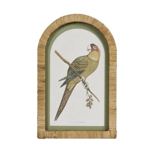 Parrots In Arches Wall Art Set Of 4 by Florabelle Online Sale