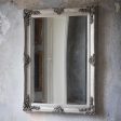 Abbey Rectangle Mirror Silver by Florabelle Supply