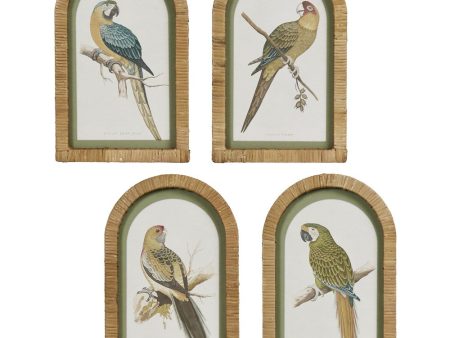 Parrots In Arches Wall Art Set Of 4 by Florabelle Online Sale