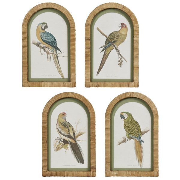 Parrots In Arches Wall Art Set Of 4 by Florabelle Online Sale