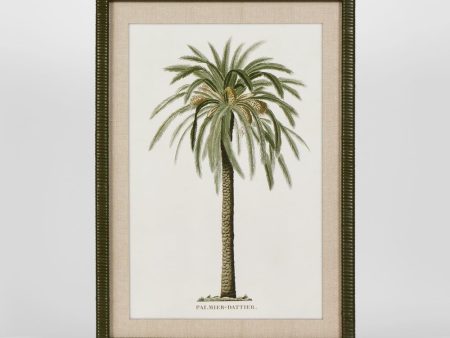 Apia Palms Wall Art C by Florabelle Discount