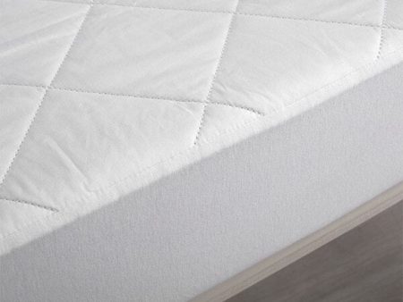 Basics Cotton Mattress Protector by Bambi For Discount