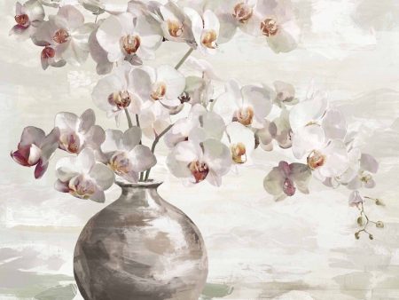 Orchid Bloom In Vase Wall Art by Florabelle Sale