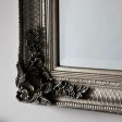 Abbey Rectangle Mirror Silver by Florabelle Supply