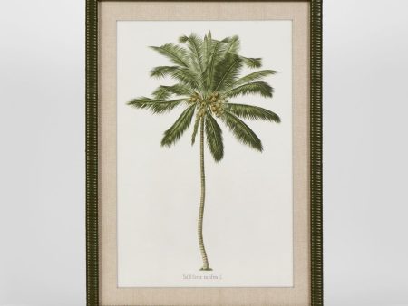 Apia Palms Wall Art A by Florabelle Hot on Sale