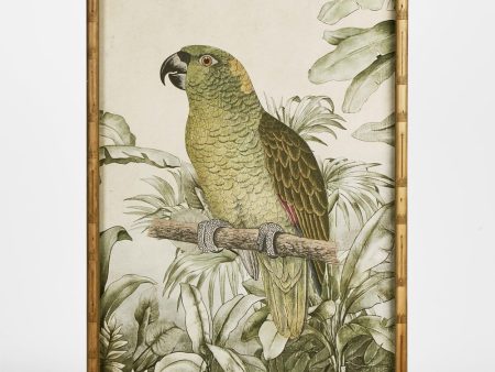 Jungle Parrot Wall Art B by Florabelle Cheap