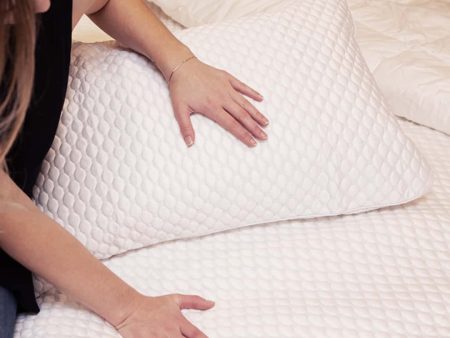 Cooltouch Pillow Protector by Bambi Fashion