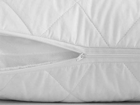 Basics Cotton Pillow Protector by Bambi For Sale