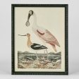 Graceful Cranes Wall Art D by Florabelle Online now