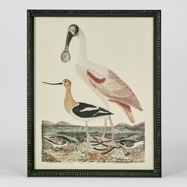 Graceful Cranes Wall Art D by Florabelle Online now