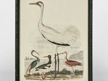 Graceful Cranes Wall Art C by Florabelle For Cheap