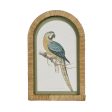 Parrots In Arches Wall Art Set Of 4 by Florabelle Online Sale