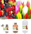 Wildberry Tulip Fragrance Oil Fashion