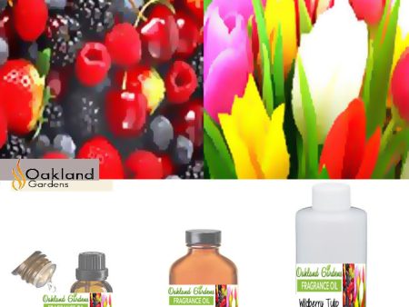 Wildberry Tulip Fragrance Oil Fashion