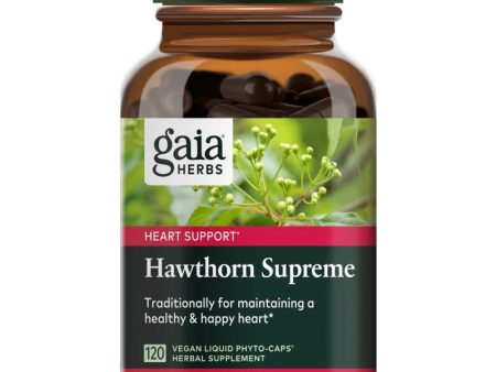 Hawthorn Berry Extract - 500mg 120 Capsules Online now