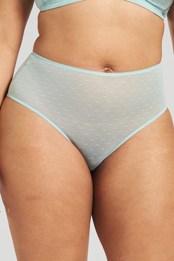 Banksia recycled-tulle high-rise briefs - Fjordland Green Online Hot Sale