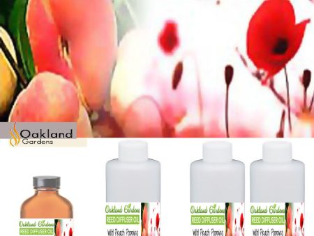 Wild Peach Poppies Reed Oil Online now