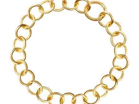 Amadeus Daphne Thick Gold Chain Choker Necklace Online Hot Sale