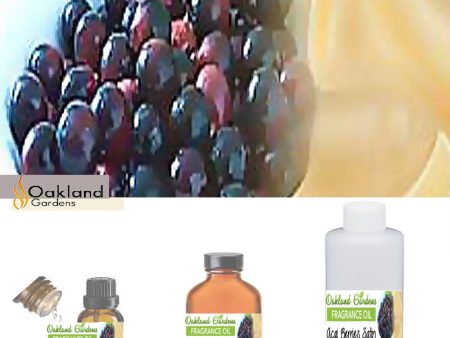 Acai Berries Satin Fragrance Oil Hot on Sale