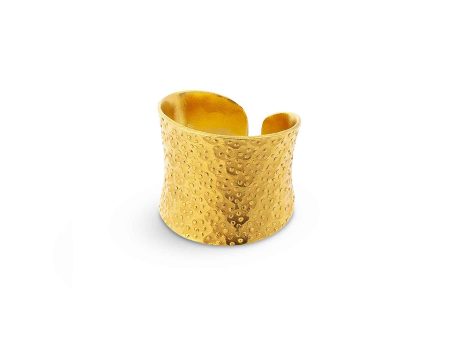 Nudo Gold Dotted Ring (adjustable) Online now