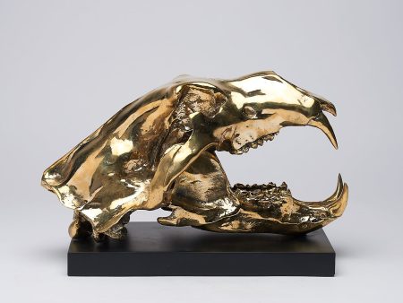 Sooka Polar Bear Skull In Polished Bronze Sale