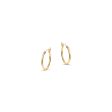 Venus Gold Hoop Earrings Hot on Sale