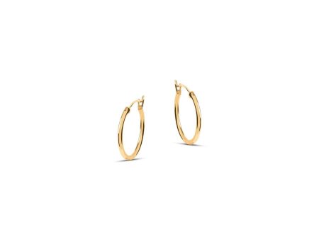 Venus Gold Hoop Earrings Hot on Sale