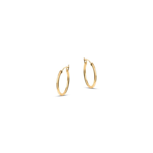 Venus Gold Hoop Earrings Hot on Sale